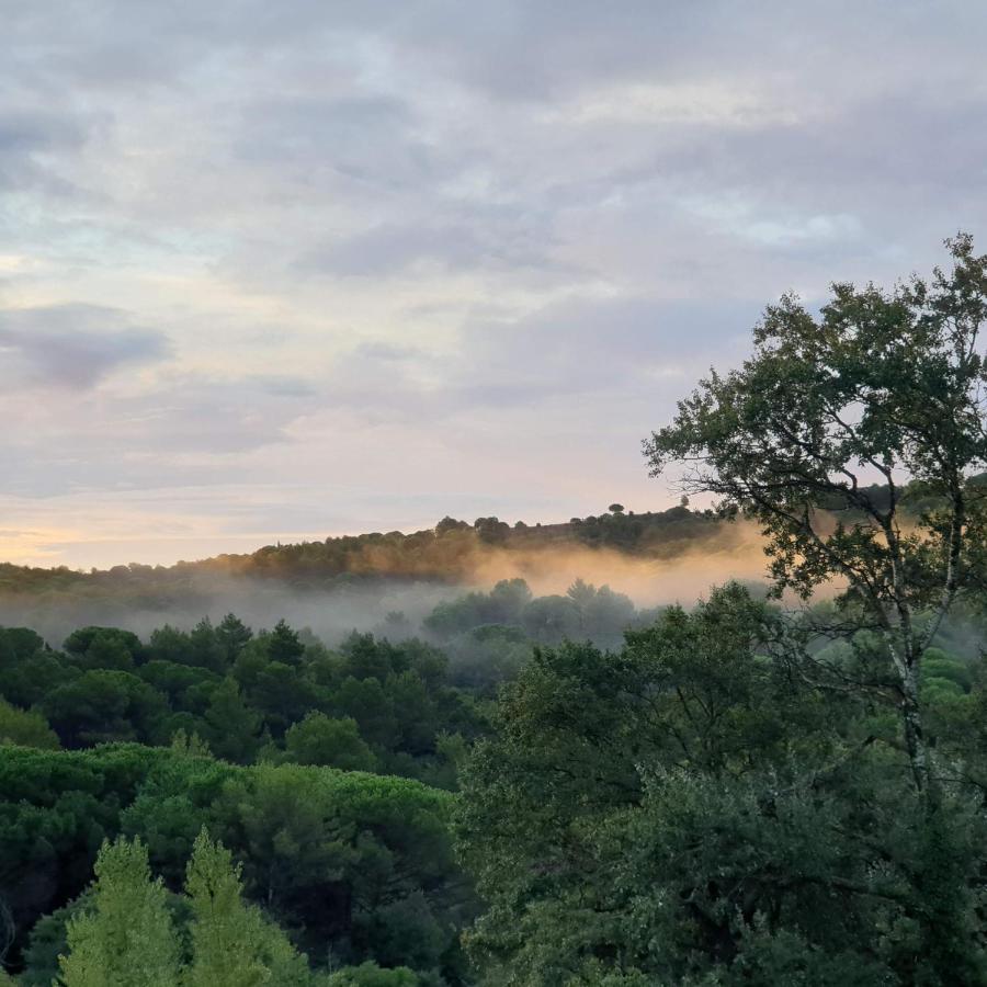 Charmant Studio Proche Lac Et Foret Carcassone Kültér fotó